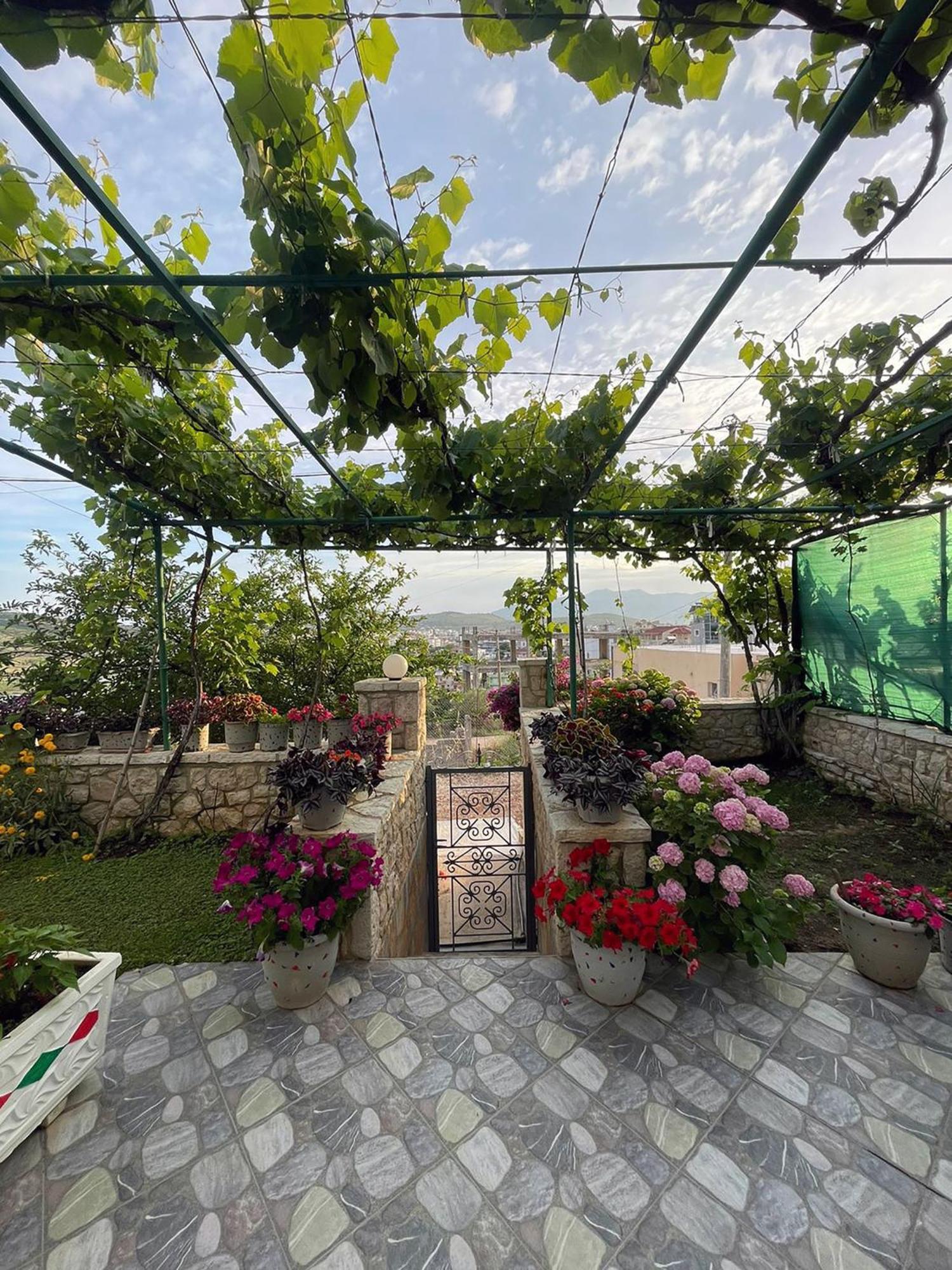 Green Garden Villa كساميل المظهر الخارجي الصورة