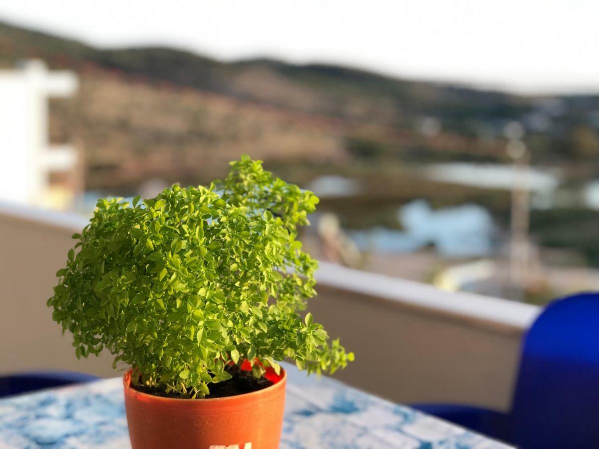 Green Garden Villa كساميل المظهر الخارجي الصورة